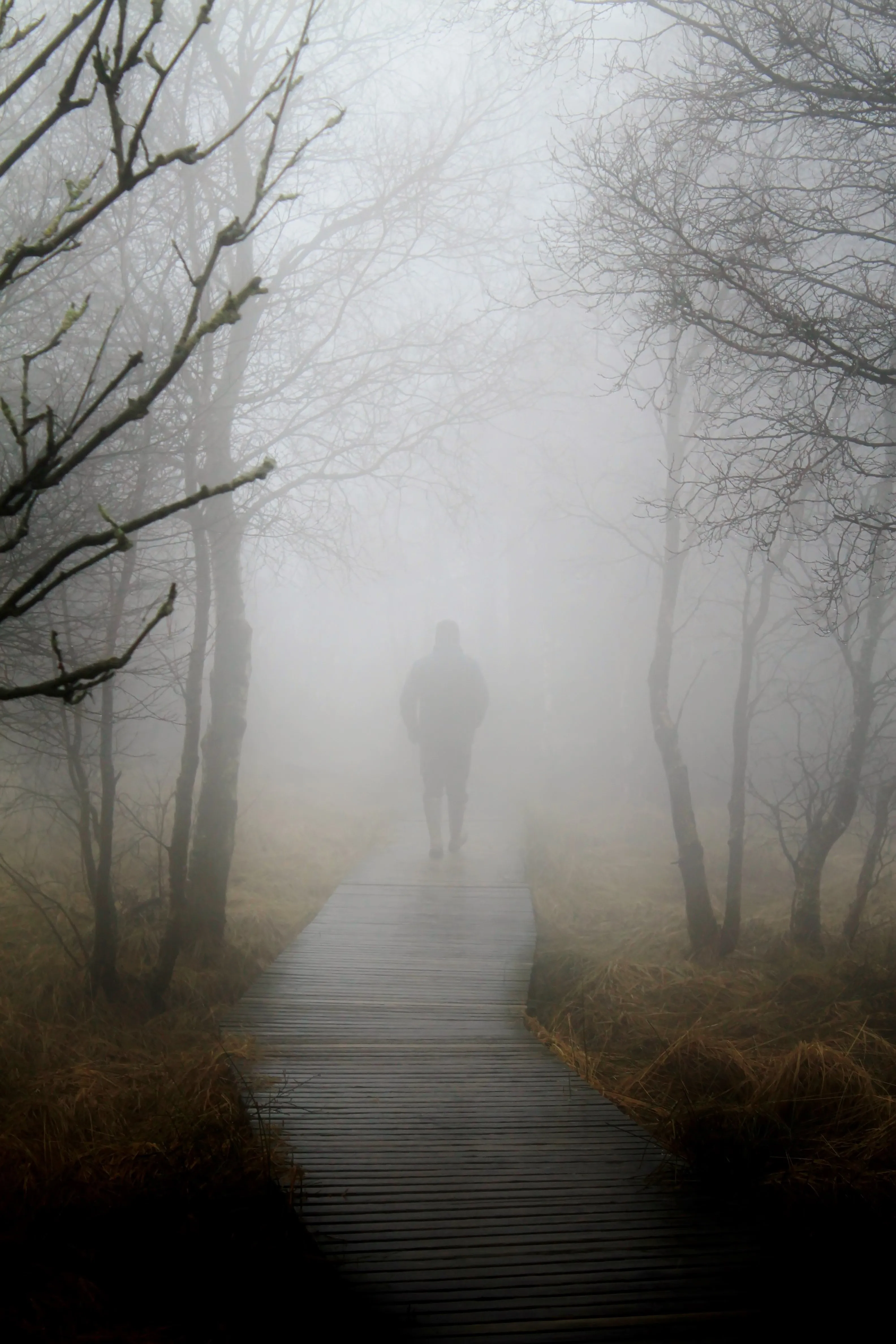 Belief, Faith, Confidence: Trifecta of How Reality Works