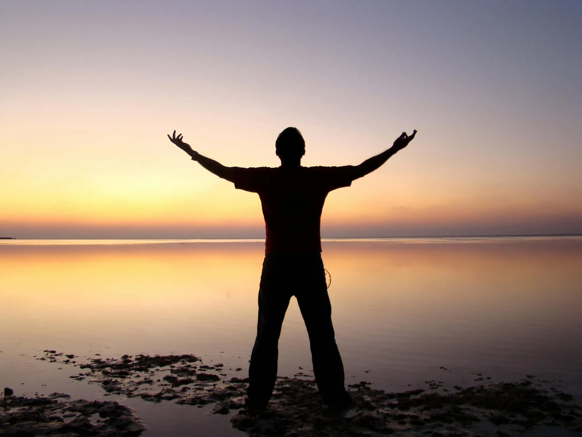 The Biology of Belief: Cells and Placebo