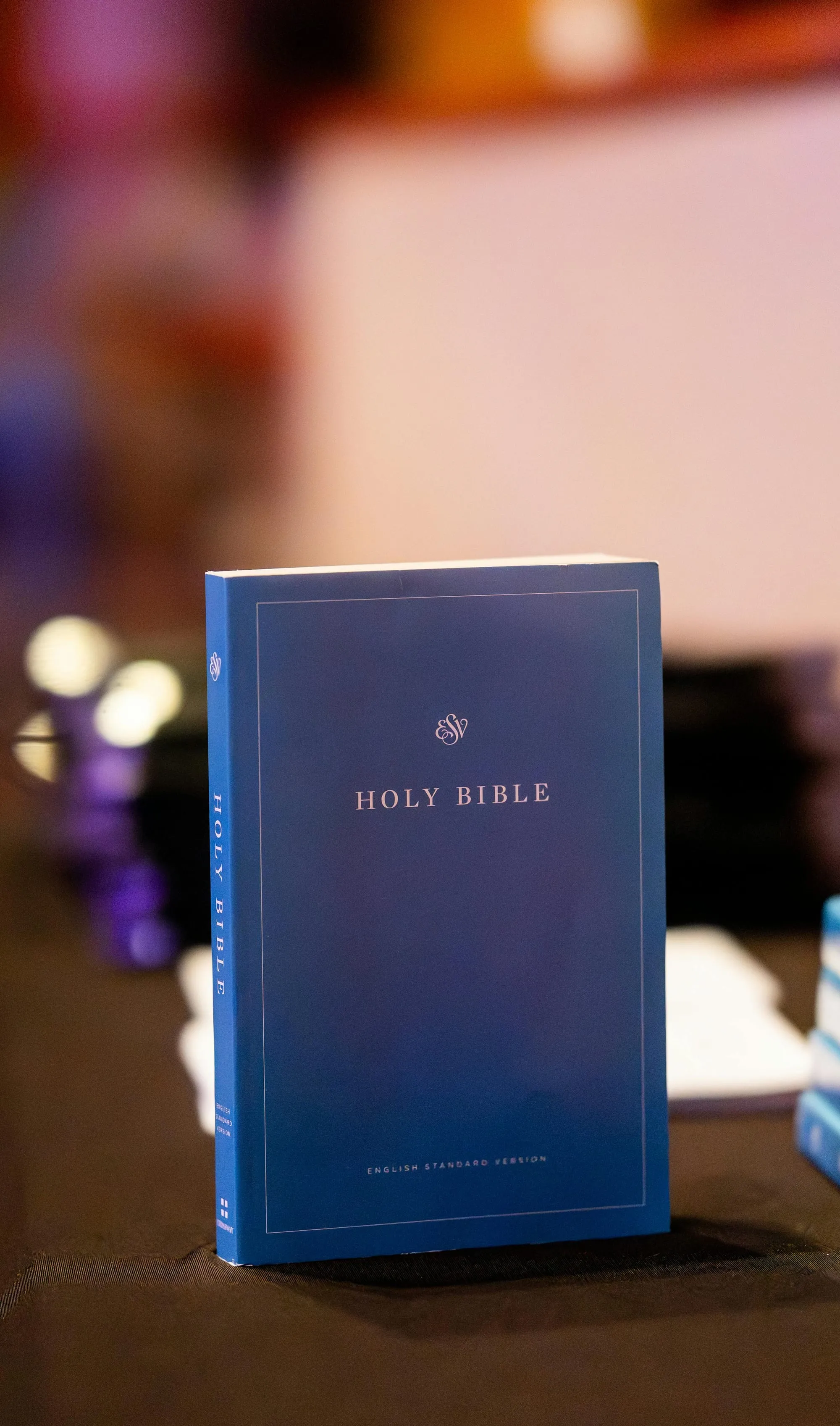 The Real Bible: Neuroanatomy and Physics